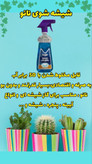 شیشه شو